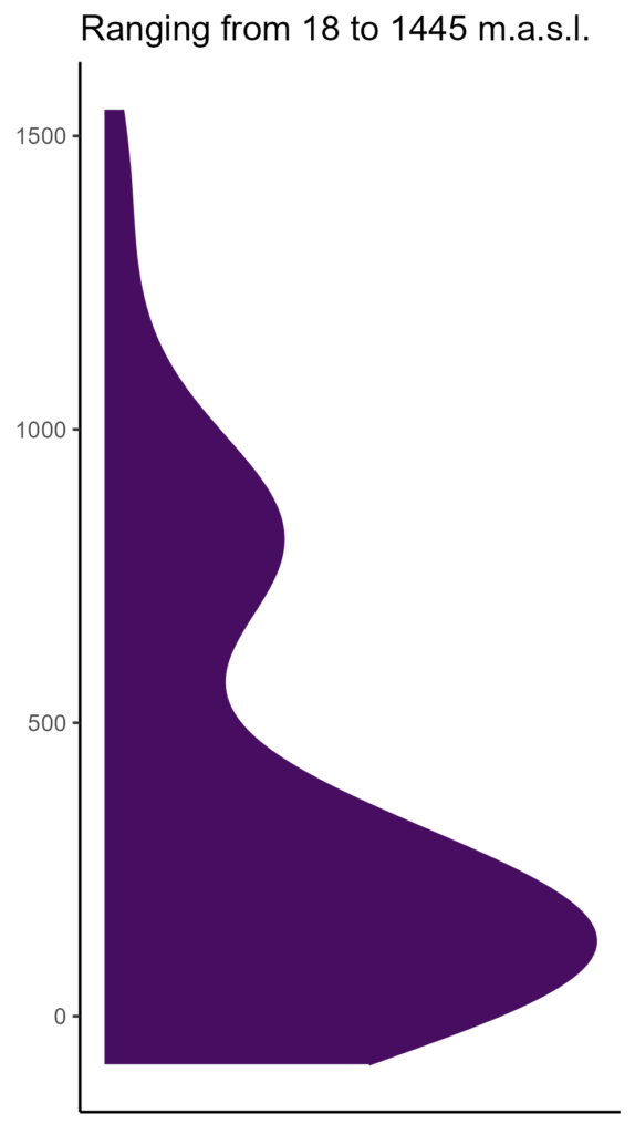 20260120 hhp277 elev