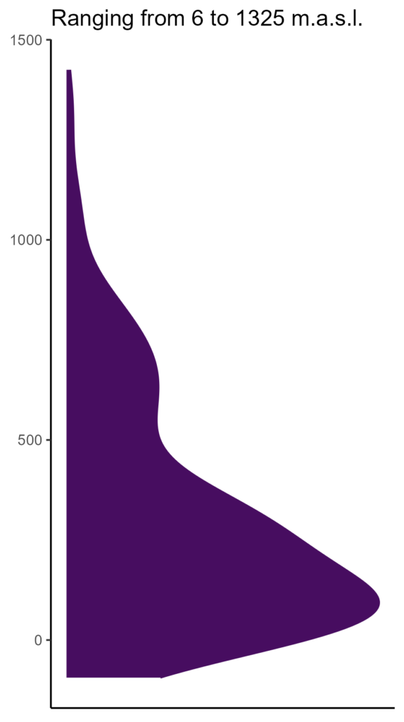 20260120 hhs155 elev