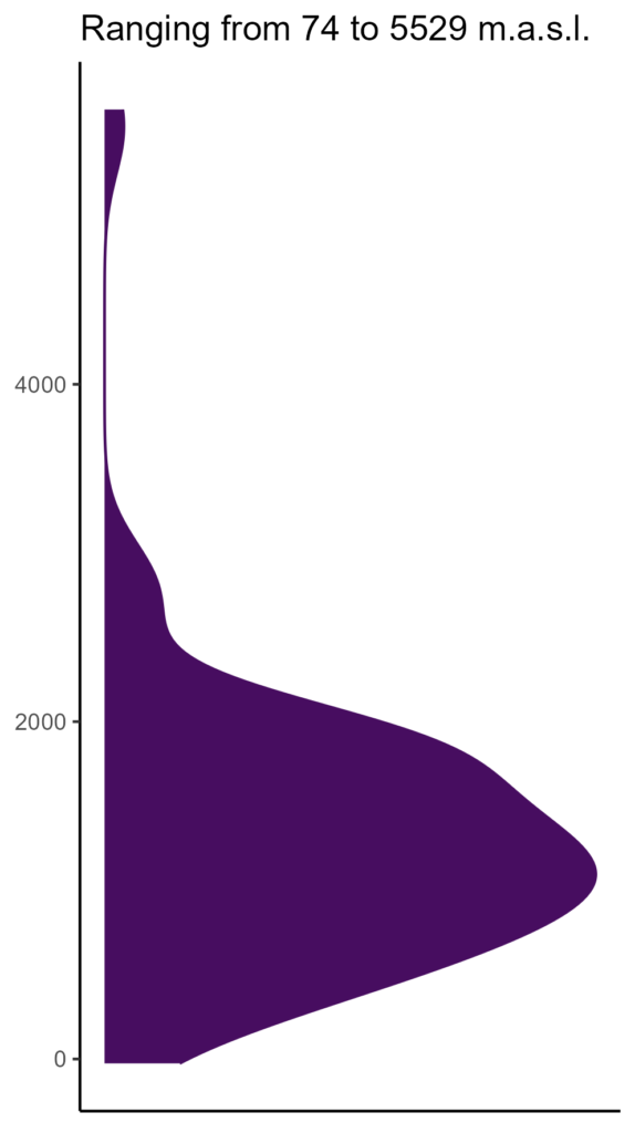 20260120 hhs278 elev