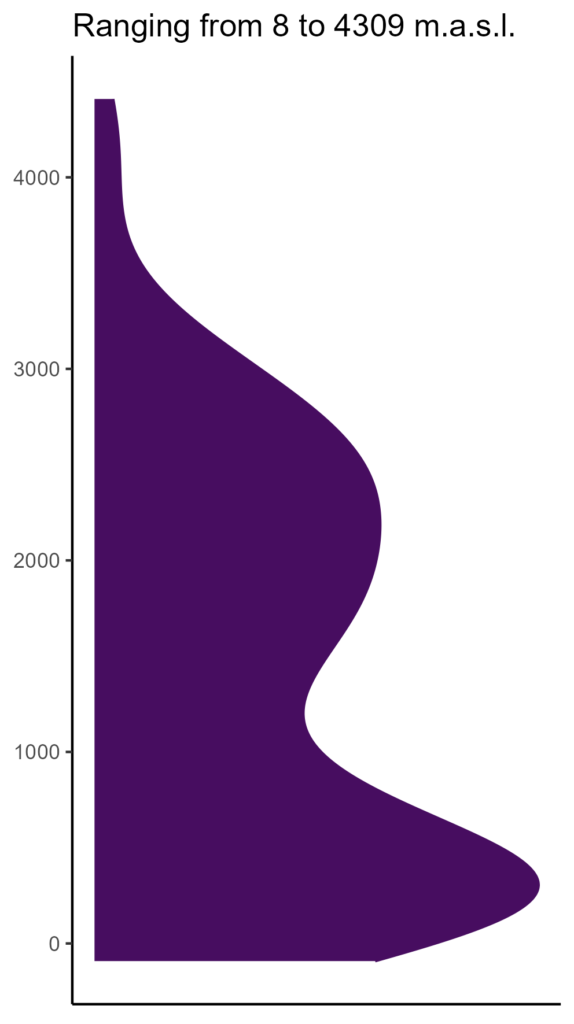 20260120 hht156 elev