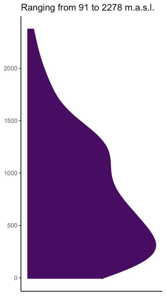 20260120 hte267 elev