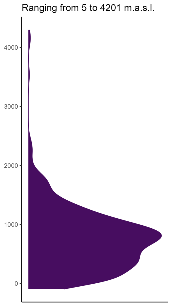 20260120 htp338 elev