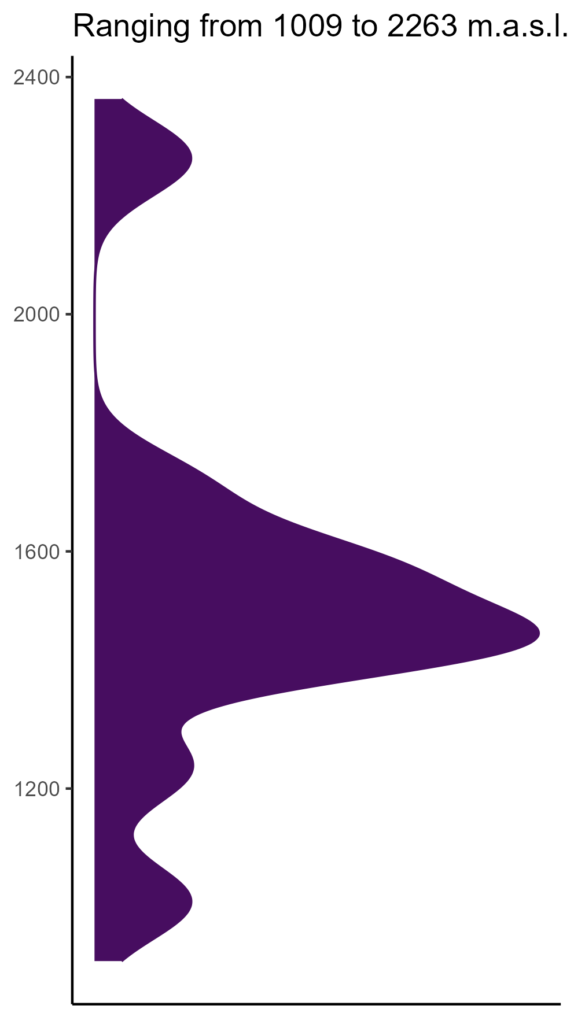 20260120 lch344 elev