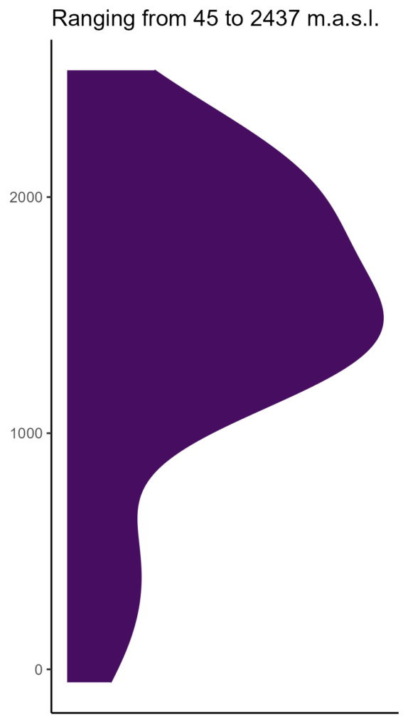 20260120 lcp042 elev