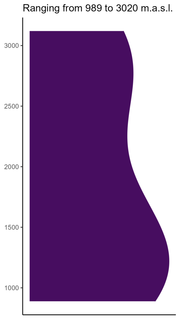 20260120 lcp158 elev