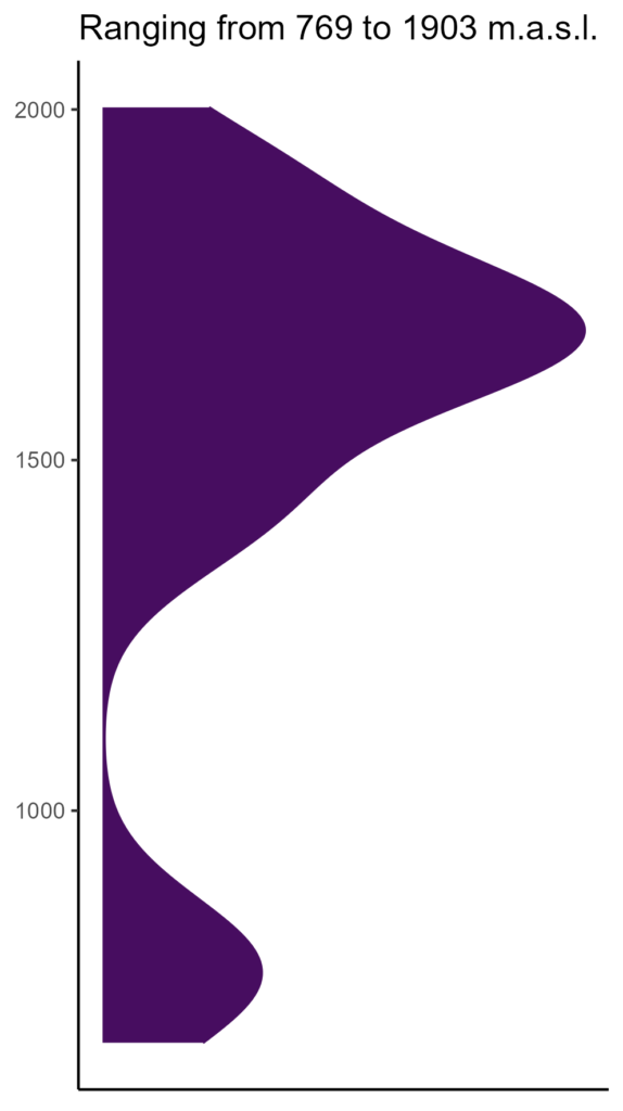 20260120 llb279 elev