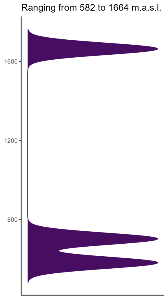 20260120 llm222 elev