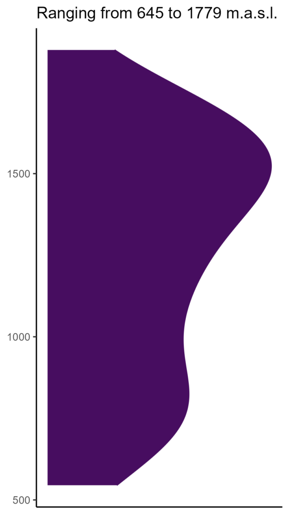 20260120 llw226 elev