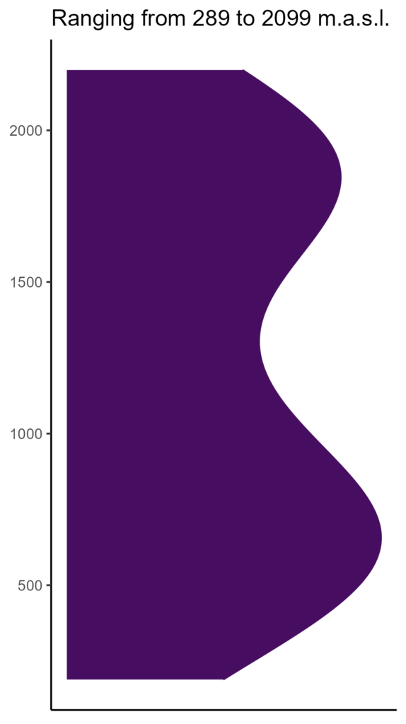 20260120 mmf159 elev