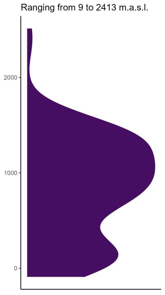 20260120 mmm039 elev