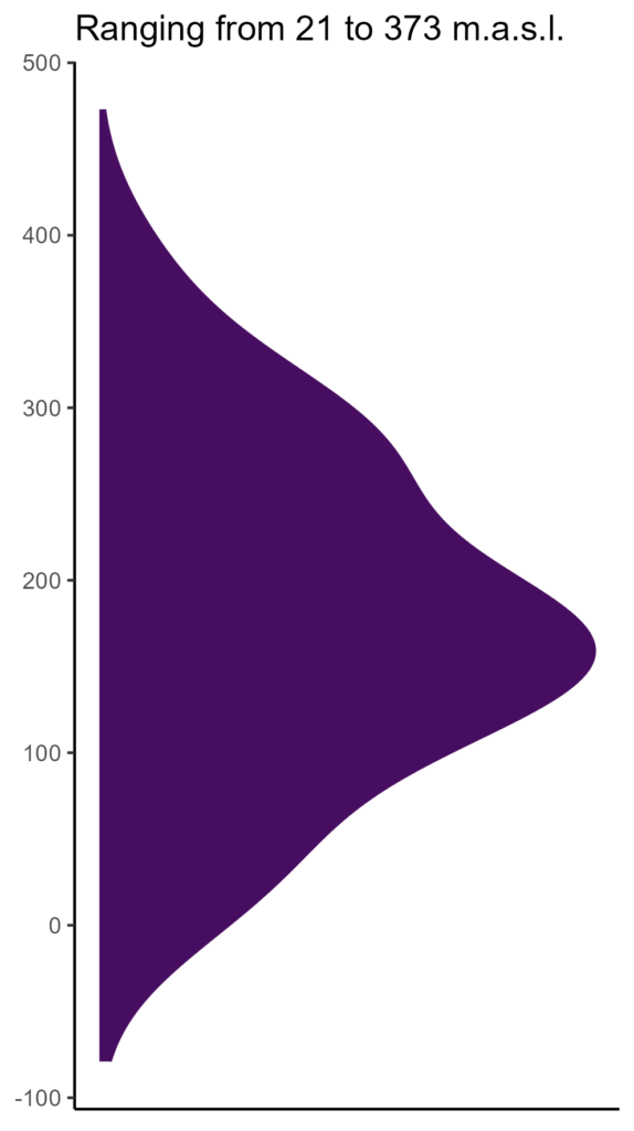 20260120 mmm166 elev