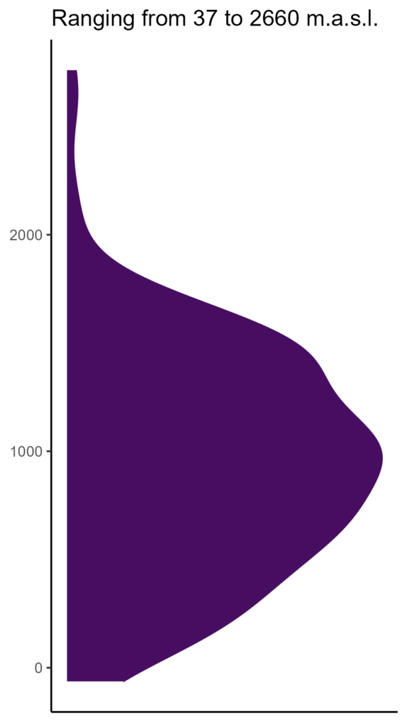 20260120 Pad184 Elev 574x1024