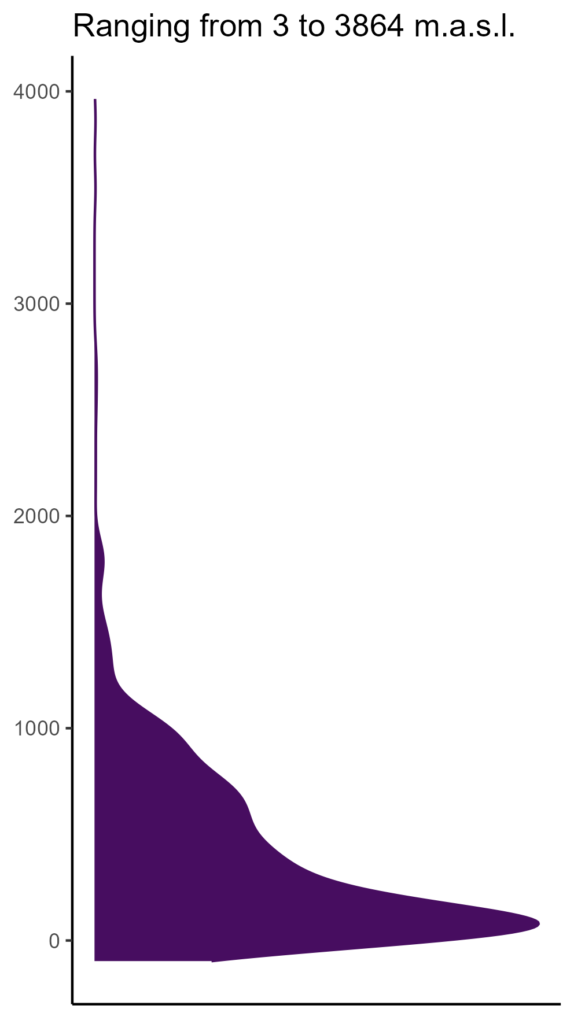 20260120 Pah244 Elev 574x1024
