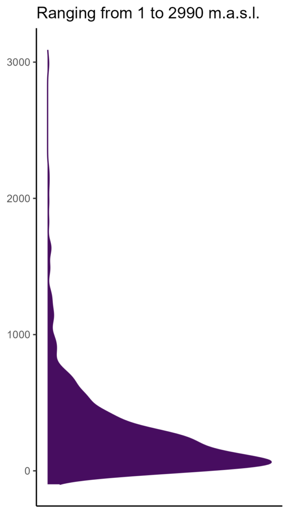 20260120 Pal234 Elev 574x1024