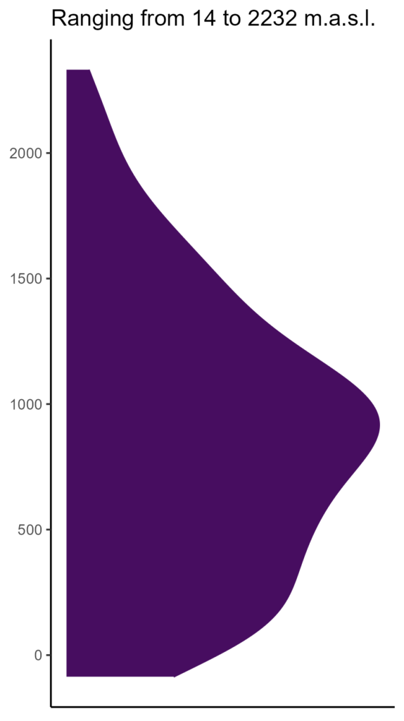 20260120 Par017 Elev 574x1024