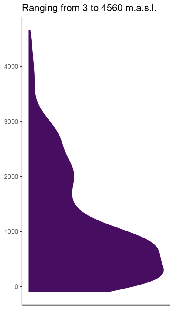 20260120 Par185 Elev 574x1024