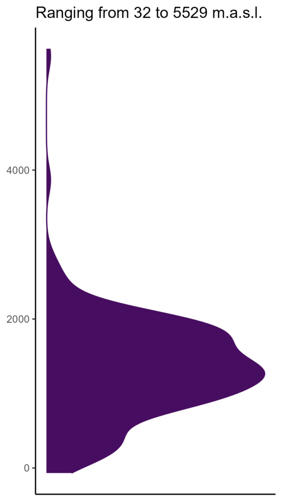 20260120 Pas243 Elev 574x1024