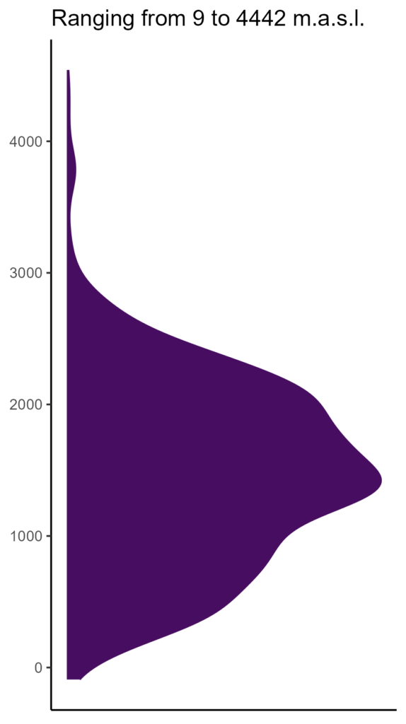 20260120 Pas347 Elev 574x1024