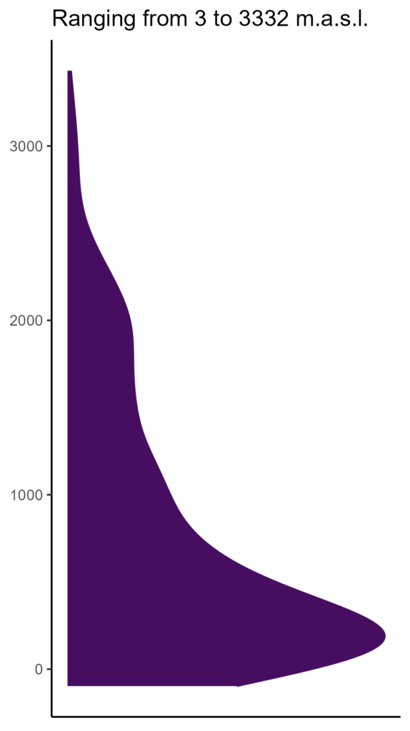 20260120 pas377 elev