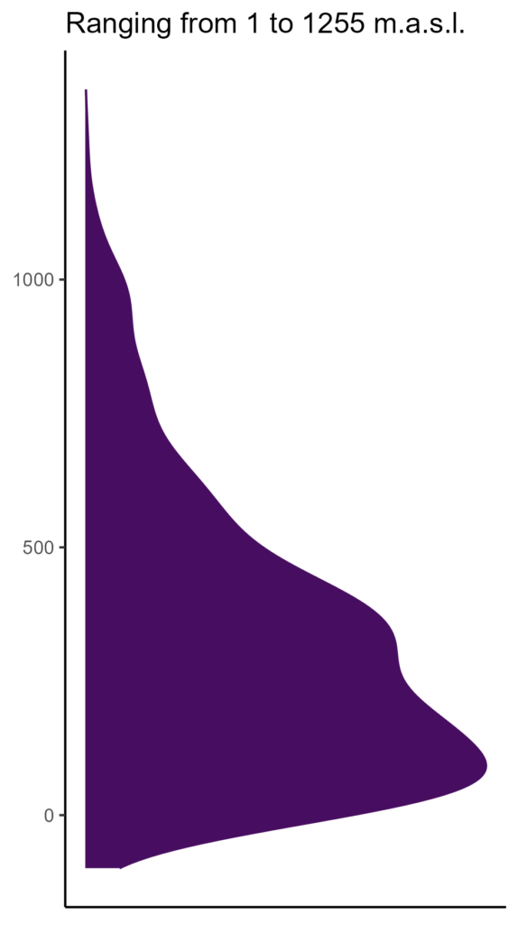 20260120 Pcd040 Elev 574x1024