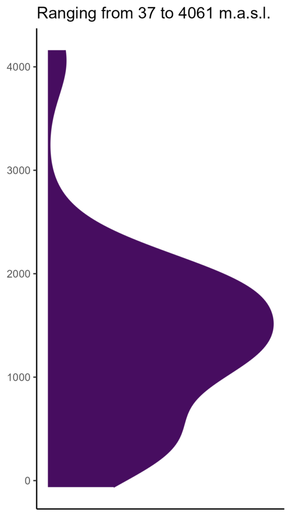 20260120 Pce057 Elev 574x1024