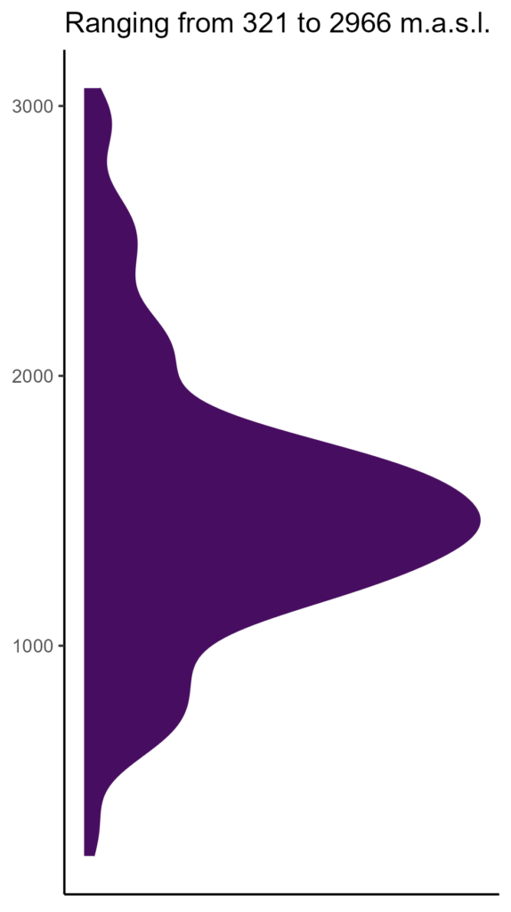 20260120 Pce100 Elev 574x1024