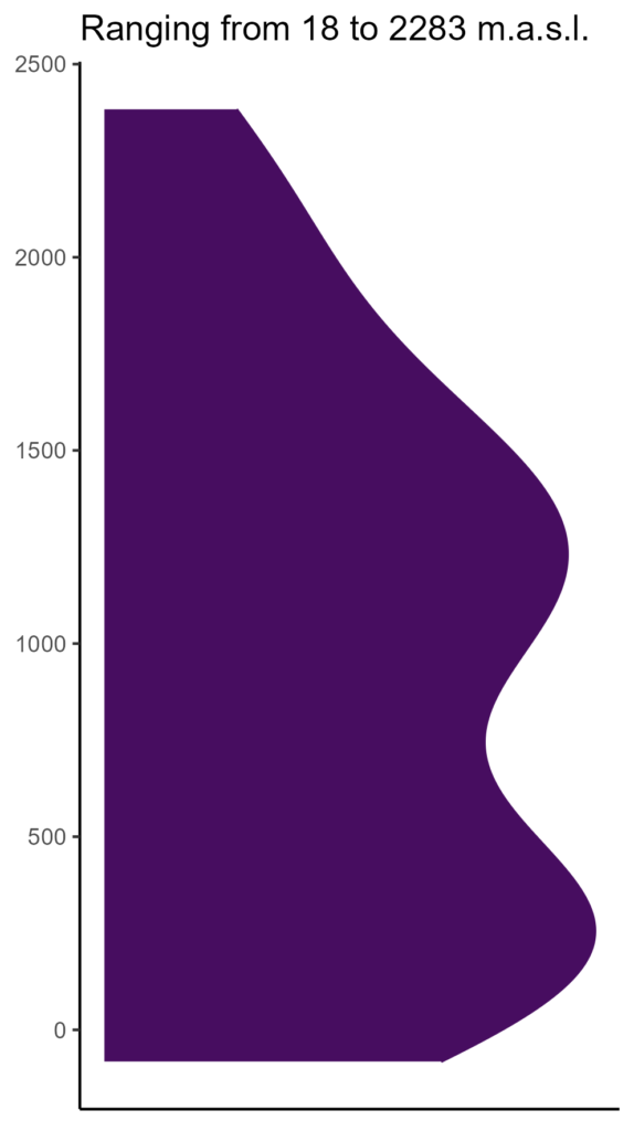 20260120 Pcg097 Elev 574x1024