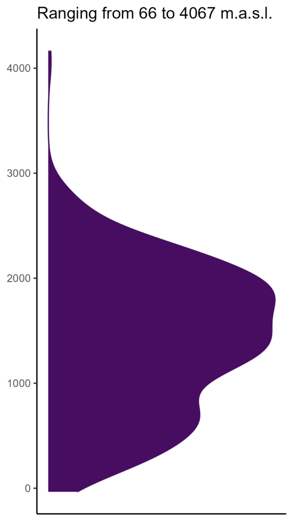 20260120 Pcg349 Elev 574x1024
