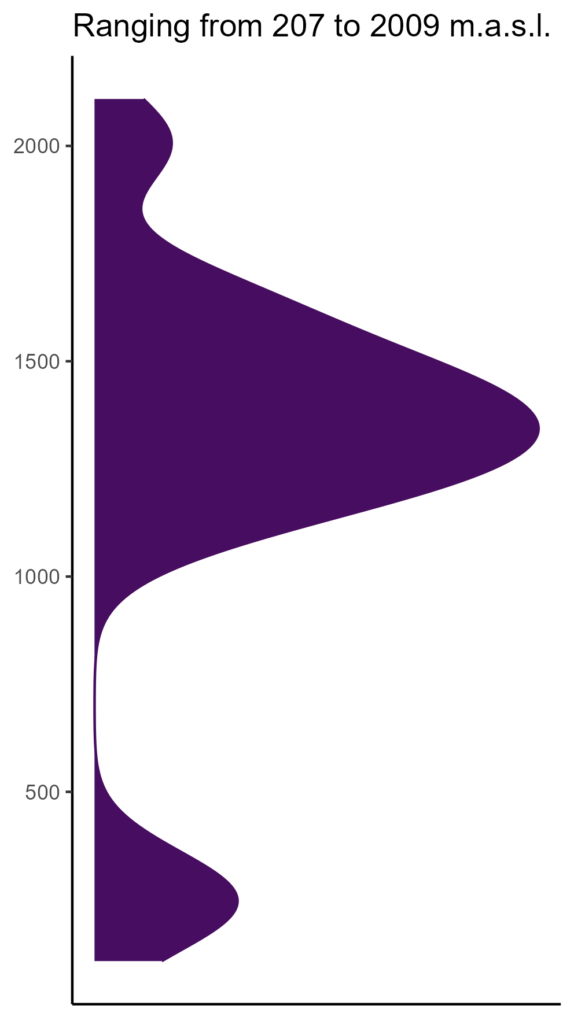 20260120 Pch101 Elev 574x1024