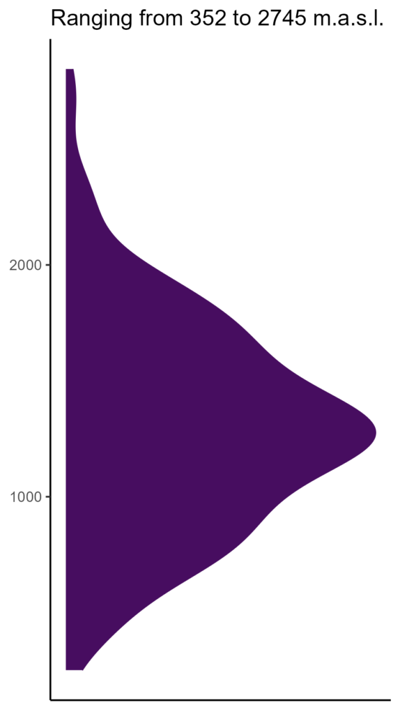 20260120 Pch196 Elev 574x1024