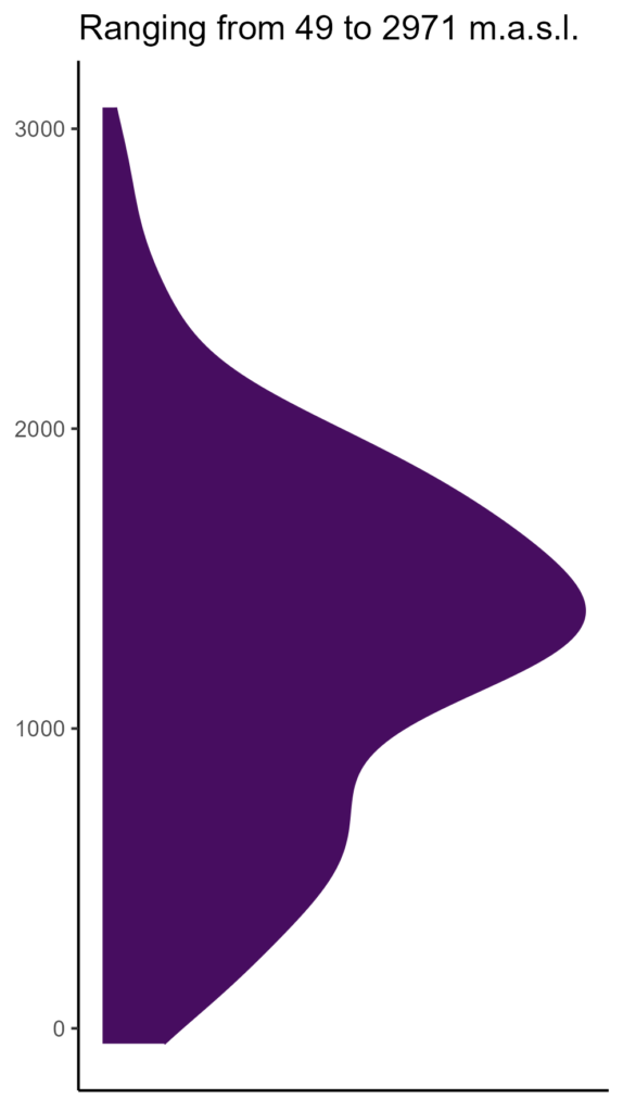 20260120 Pci197 Elev 574x1024