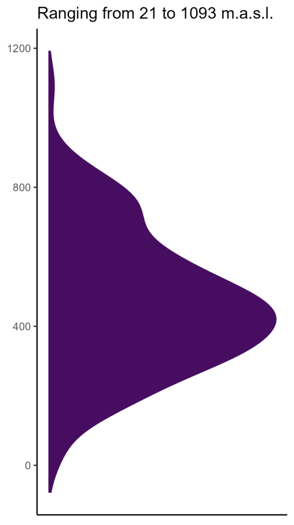 20260120 pcl051 elev 20260120 Pcl051 Elev 574x1024