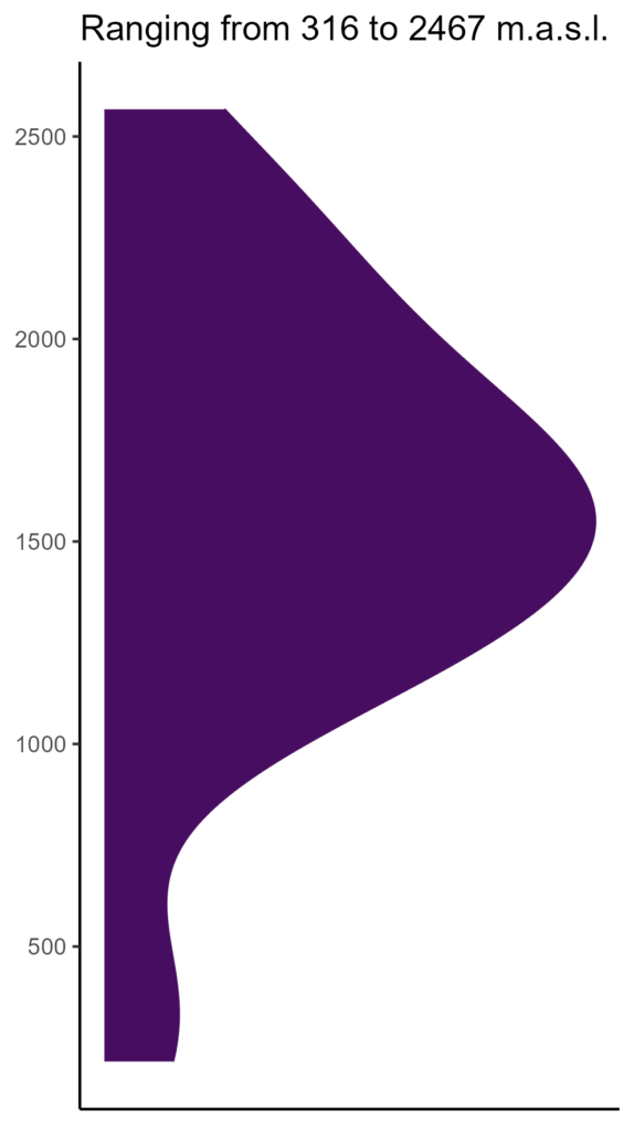 20260120 Pcm047 Elev 574x1024