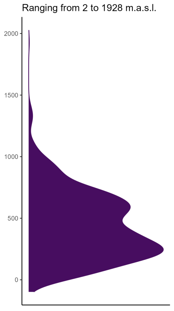 20260120 Pcs071 Elev 574x1024