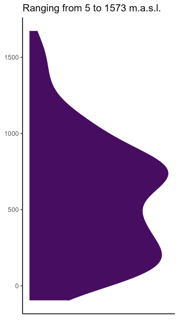 20260120 Pdc005 Elev 574x1024