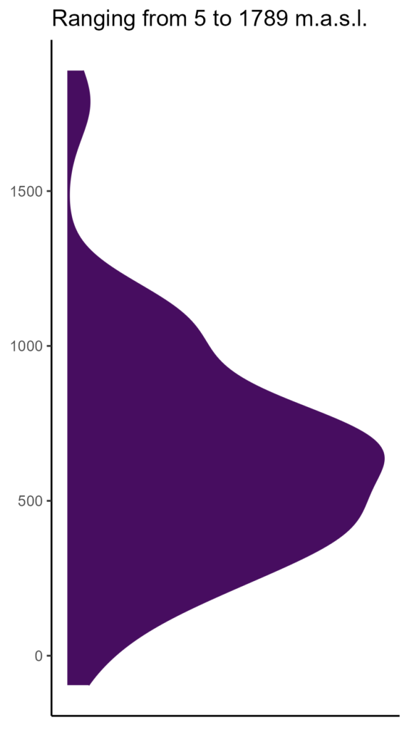 20260120 Pdv004 Elev 574x1024