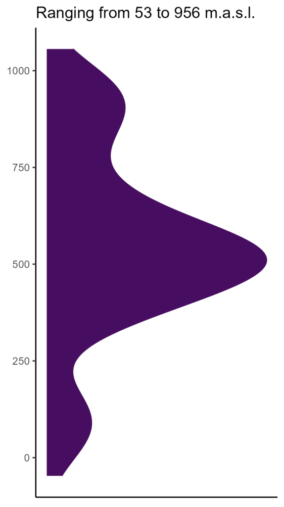 20260120 peb038 elev