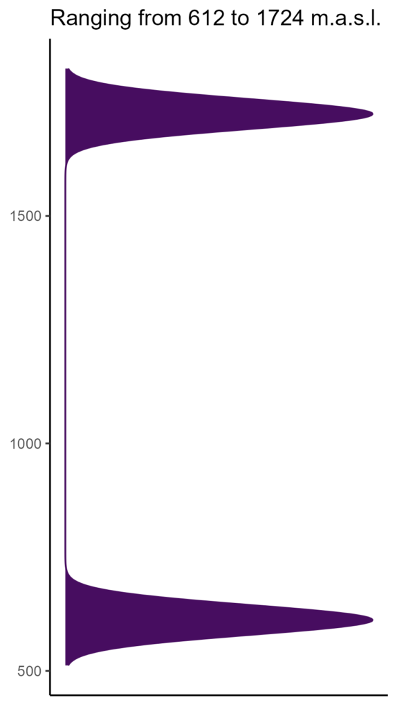 20260120 pen076 elev