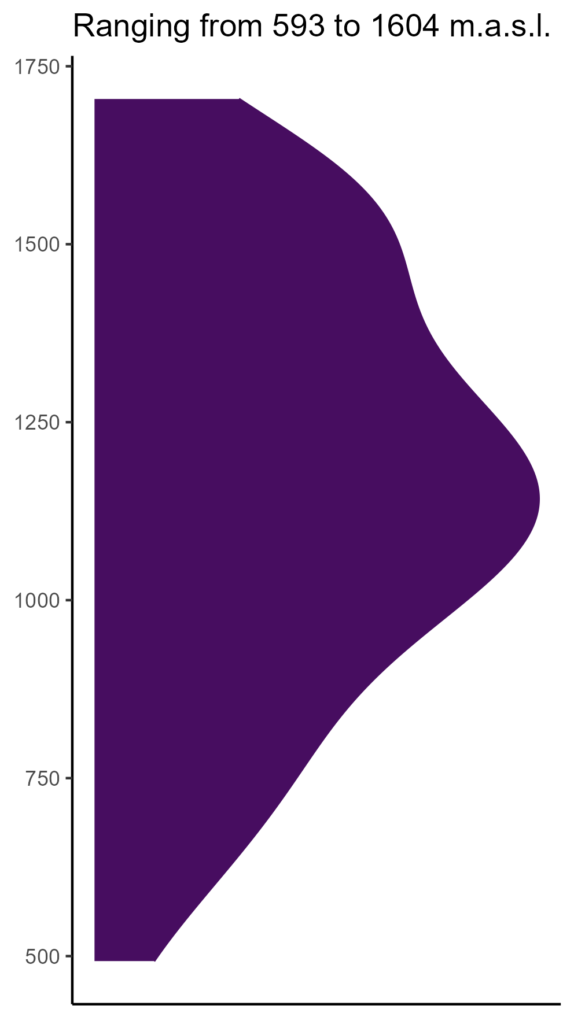 20260120 pen162 elev