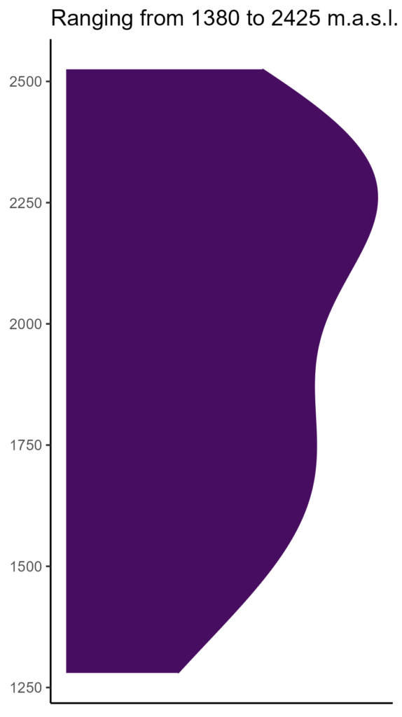 20260120 pep163 elev