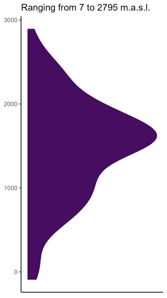 20260120 Peq073 Elev 574x1024