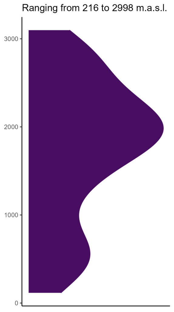 20260120 Pha198 Elev 574x1024