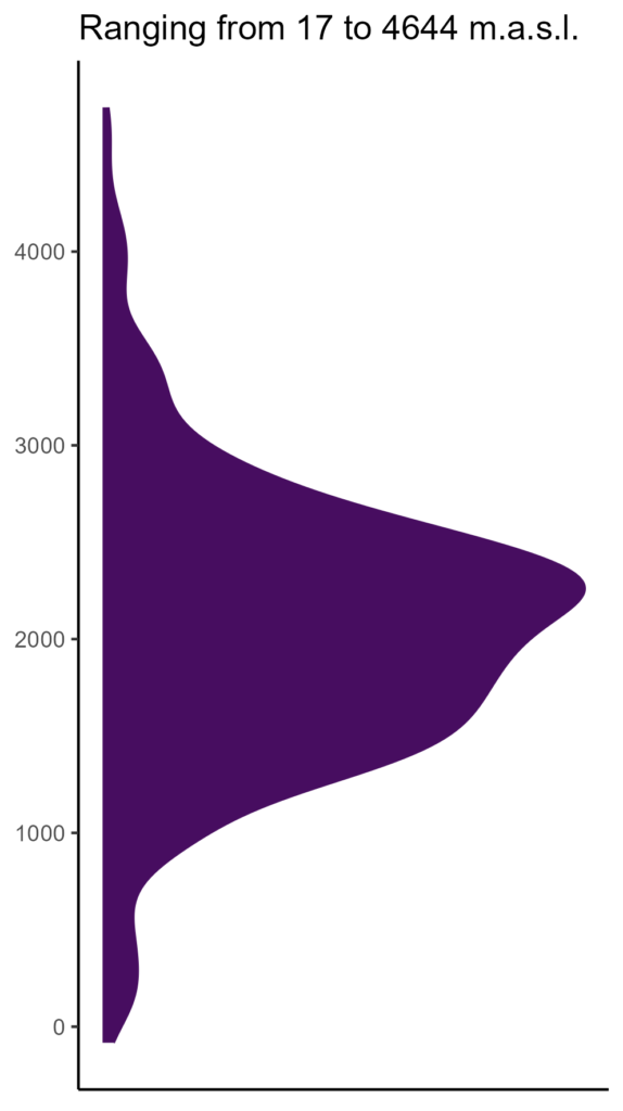 20260120 Phb199 Elev 574x1024