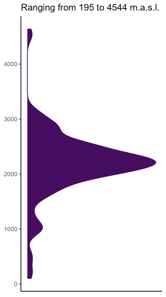 20260120 Phe218 Elev 574x1024