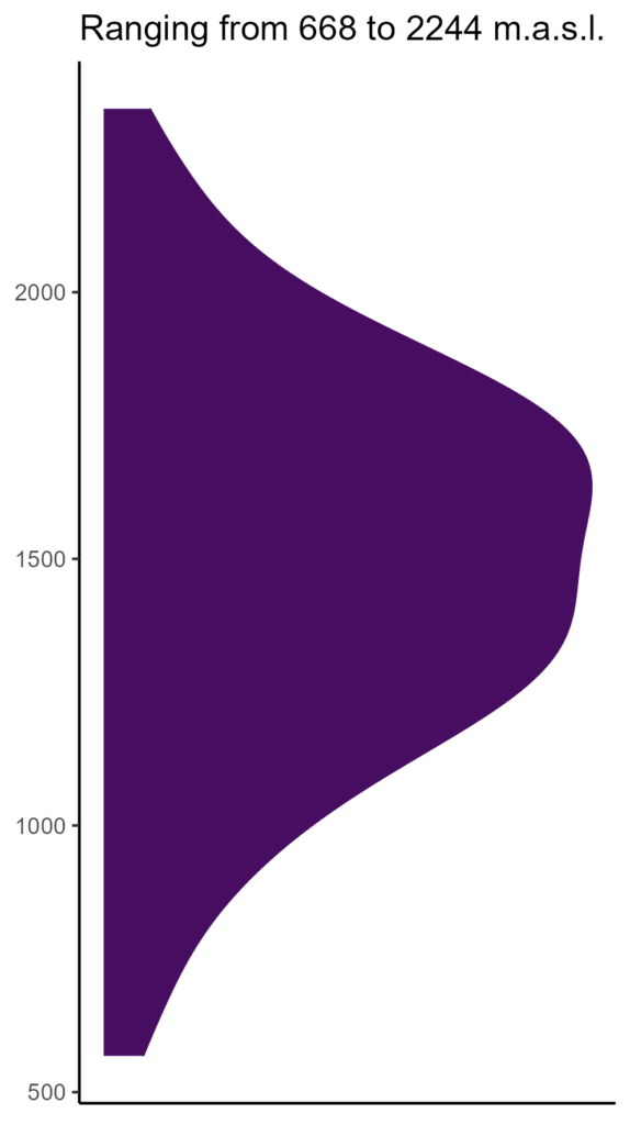 20260120 Phi212 Elev 574x1024