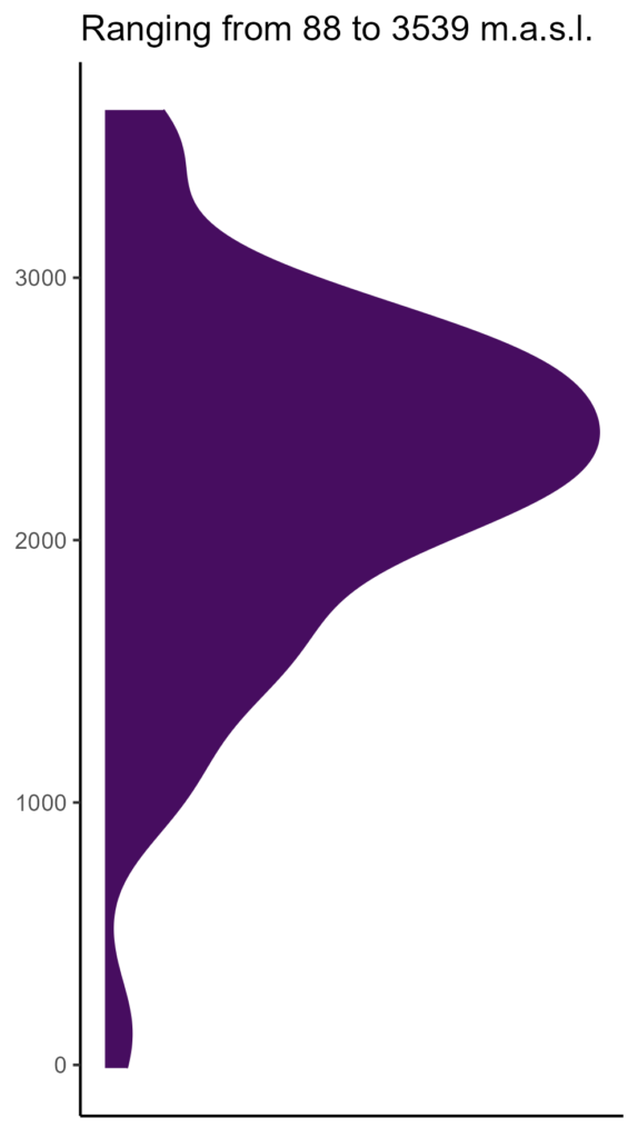 20260120 Phl202 Elev 574x1024