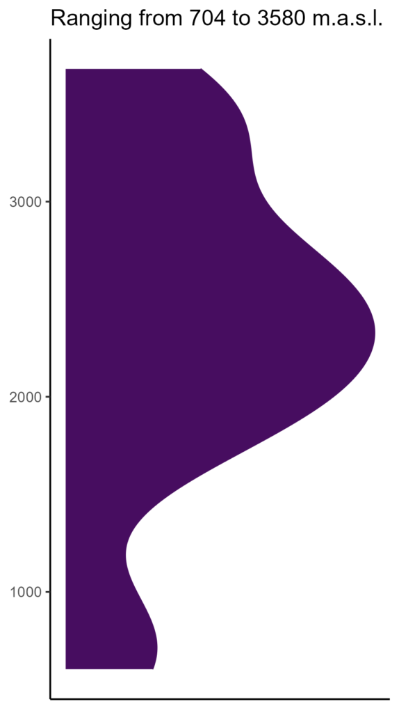 20260120 Phm213 Elev 574x1024