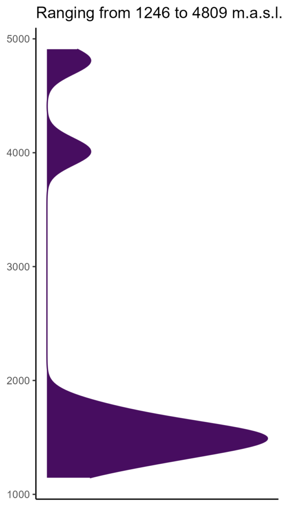 20260120 Phn285 Elev 574x1024