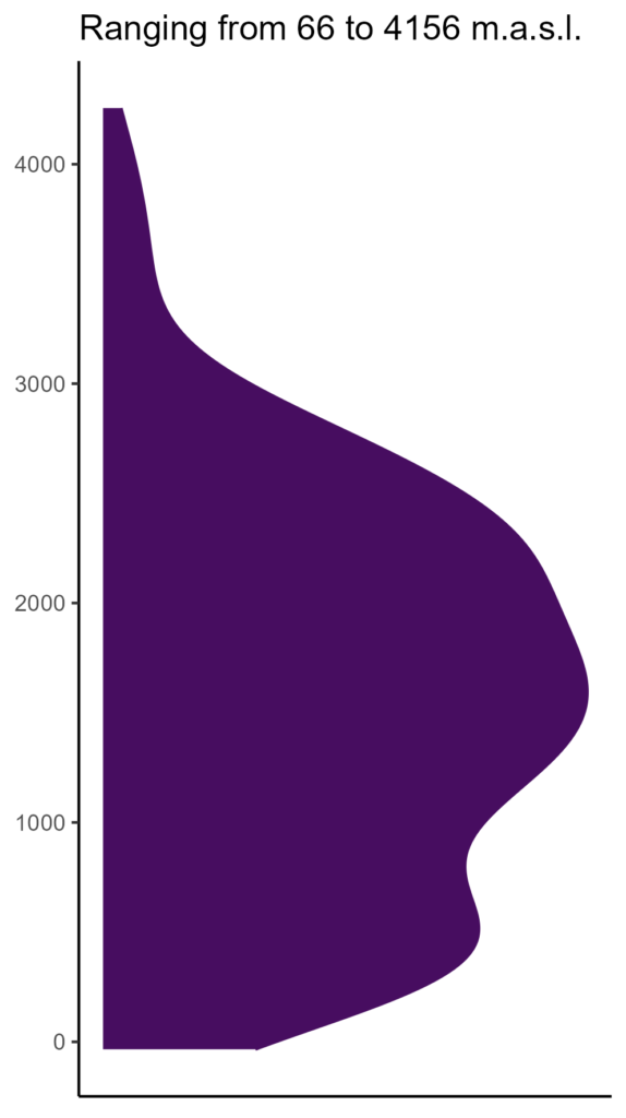 20260120 Pho217 Elev 574x1024