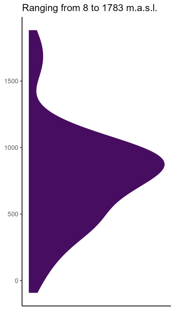 20260120 Php206 Elev 574x1024